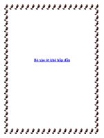 Bò xào ớt khô hấp dẫn potx