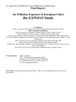 Air Pollution Exposure in European Cities: the EXPOLIS Study pot