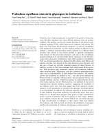 Báo cáo khoa học: Trehalose synthase converts glycogen to trehalose pptx