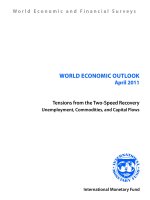 Tensions from the Two-Speed Recovery Unemployment, Commodities, and Capital Flows ppt