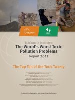 Blacksmith Institute’s The World’s Worst Toxic Pollution Problems potx