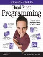 Head First Programming potx
