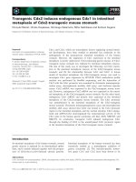 Báo cáo khoa học: Transgenic Cdx2 induces endogenous Cdx1 in intestinal metaplasia of Cdx2-transgenic mouse stomach pot