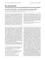 Báo cáo Y học: Boar salivary lipocalin Three-dimensional X-ray structure and androstenol/androstenone docking simulations pot