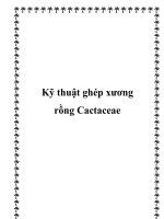 Kỹ thuật ghép xương rồng Cactaceae pptx