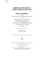 IMMIGRATION: ECONOMIC IMPACT ON AMERICAN WORKERS AND THEIR WAGES pptx