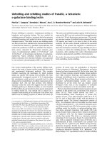 Báo cáo Y học: Unfolding and refolding studies of frutalin, a tetrameric D-galactose binding lectin doc