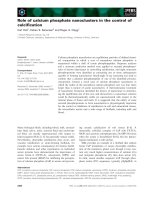 Báo cáo khoa học: Role of calcium phosphate nanoclusters in the control of calciﬁcation pot