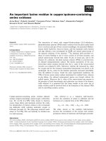 Báo cáo khoa học: An important lysine residue in copper⁄quinone-containing amine oxidases doc
