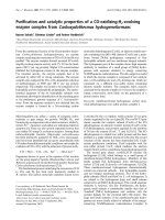 Báo cáo Y học: Puriﬁcation and catalytic properties of a CO-oxidizing:H2-evolving enzyme complex from Carboxydothermus hydrogenoformans doc