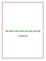 Bài thuốc chữa bệnh đau lưng, giải độc từ đậu đen pot