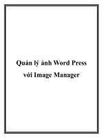 Quản lý ảnh Word Press với Image Manager doc