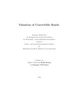 Valuation of Convertible Bonds pptx