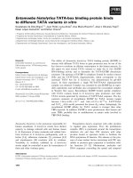 Báo cáo khoa học: Entamoeba histolytica TATA-box binding protein binds to different TATA variants in vitro ppt