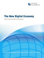 The New Digital Economy How it will transform business doc