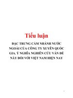 ĐẶC TRƯNG CẮM NHÁNH NƯỚC NGOÀI CỦA CÔNG TY XUYÊN QUỐC GIA. Ý NGHĨA NGHIÊN CỨU VẤN ĐỀ NÀY ĐỐI VỚI VIỆT NAM HIỆN NAY pptx