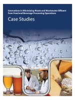 Innovations in Minimizing Waste and Wastewater Effluent from Food and Beverage Processing Operations pdf