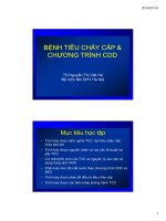 Bệnh tiêu chảy cấp doc