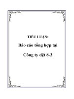 TIỂU LUẬN: Báo cáo tổng hợp tại Công ty dệt 8-3 pptx