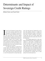Determinants and Impact of Sovereign Credit Ratings ppt