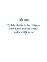 Tiểu luận Tình hình đầu tư trực tiếp ra nước ngoài của các doanh nghiệp Việt Nam pptx