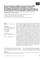 Báo cáo khoa học: Study of synthetic peptides derived from the PKI55 ppt