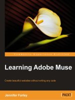 Learning Adobe Muse pot