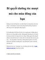 Bí quyết dưỡng tóc mượt mà cho mùa đông của bạn docx