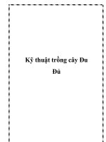 Kỹ thuật trồng cây Đu Đủ doc