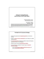 Vietnam’s Competitiveness and the Role of the Private Sector potx