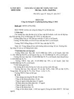 Báo cao so 01, ngay 5.1.2011 . VHXH docx