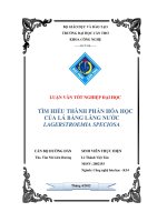 tìm hiểu thành phần hóa học của lá bằng lăng nước lagerstroemia speciosa