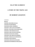 A STORY OF THE VIKING AGE pot