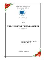 THE ECONOMICS OF THE EXCHANGE RATE