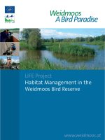 LIFE Project Habitat Management in the Weidmoos Bird Reserve docx