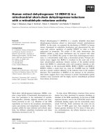Báo cáo khoa học: Human retinol dehydrogenase 13 (RDH13) is a mitochondrial short-chain dehydrogenase⁄reductase with a retinaldehyde reductase activity pdf