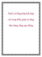 Nuôi cá bống bớp kết hợp với rong biển giúp cá tăng khả năng sống qua đông potx