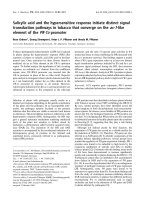 Báo cáo khoa học: Salicylic acid and the hypersensitive response initiate distinct signal transduction pathways in tobacco that converge on the as-1-like element of the PR-1a promoter pot