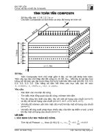 bài tập lớn về cơ học vật liệu và kết cấu COMPOSITE