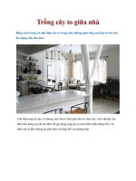 Trồng cây to giữa nhà ppt