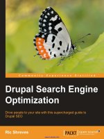 Drupal Search Engine Optimization docx