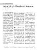 Patient Safety in Obstetrics and Gynecology pot