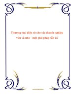 Thương mại điện tử cho các doanh nghiệp vừa và nhỏ - một giải pháp sẵn có pptx