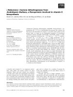 Báo cáo khoa học: dehydrogenase from Arabidopsis thaliana, a ﬂavoprotein involved in vitamin C biosynthesis pot