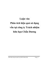 Luận văn Phân tích hiệu quả sử dụng vốn tại công ty Trách nhiệm hữu hạn Chấn Dương pot