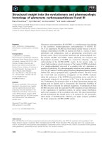 Báo cáo khoa học: Structural insight into the evolutionary and pharmacologic homology of glutamate carboxypeptidases II and III ppt