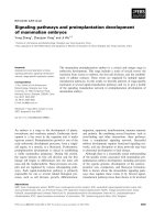 Báo cáo khoa học: Signaling pathways and preimplantation development of mammalian embryos potx