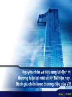 Nguyên nhân và hiệu ứng tái định vị thương hiệu tại một số NHTM hiện nay. Đánh giá chiến lược thương hiệu của VIB pdf