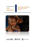 UNICEF-WHO-The World Bank Joint Child Malnutrition Estimates doc