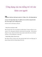 Công dụng của rau mồng tơi với sức khỏe con người potx